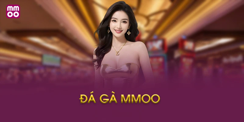 Bí Quyết Xem Kèo Và Đọc Tỷ Lệ Cược